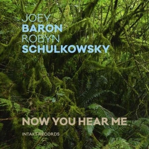 Now You Hear Me - Robyn Schulkowsky & Joey Baron