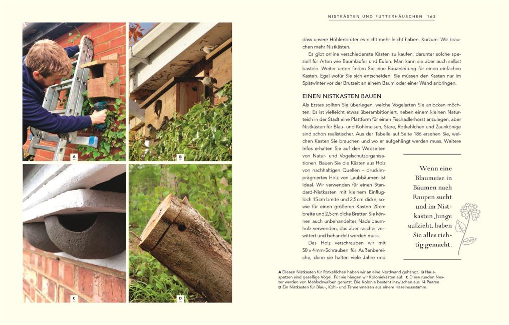 InsideView 7