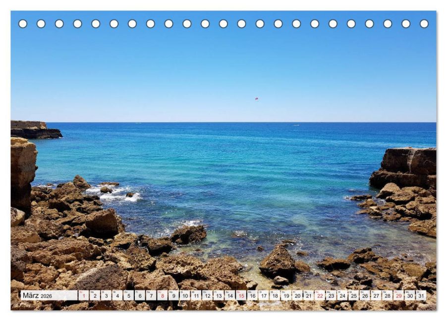InsideView 8