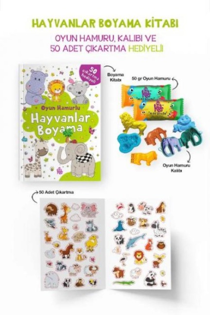 Hayvanlar Boyama Kitabi - Bilge Yorulmaz