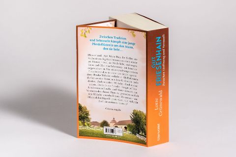 InsideView 5