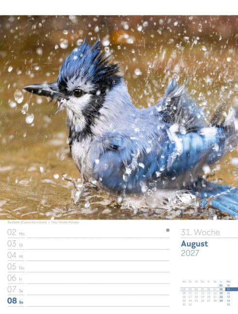 InsideView 35