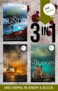 Cover-Bild zum Titel 'Die Sünde, Der Verdacht & Das Verlangen' von 'Evelyn Holst'