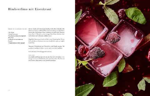 InsideView 12