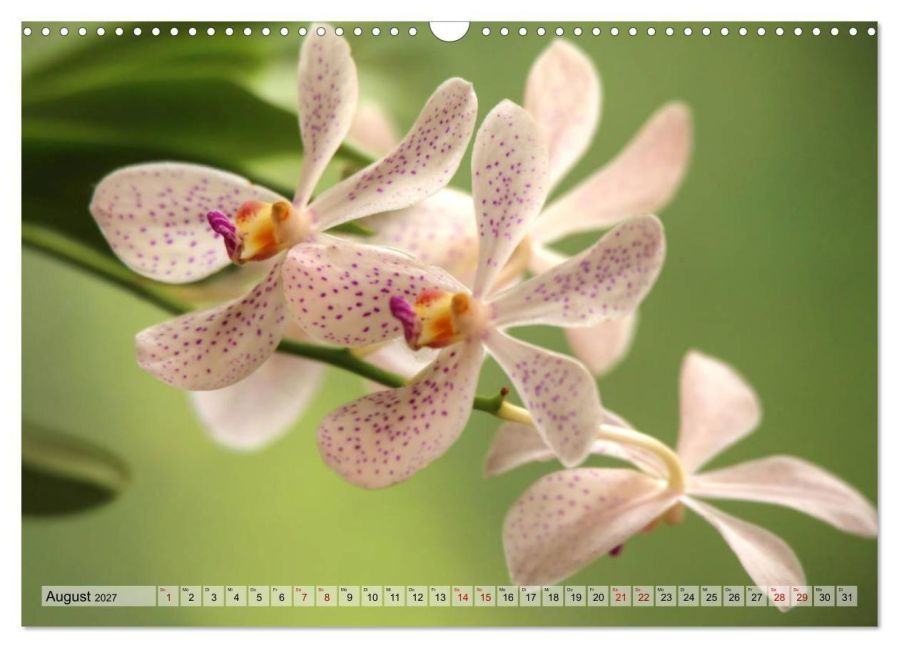 InsideView 10