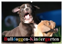 Bulldoggen-Kindergarten (Wandkalender 2025 DIN A2 quer), CALVENDO Monatskalender - Elisabeth Stanzer