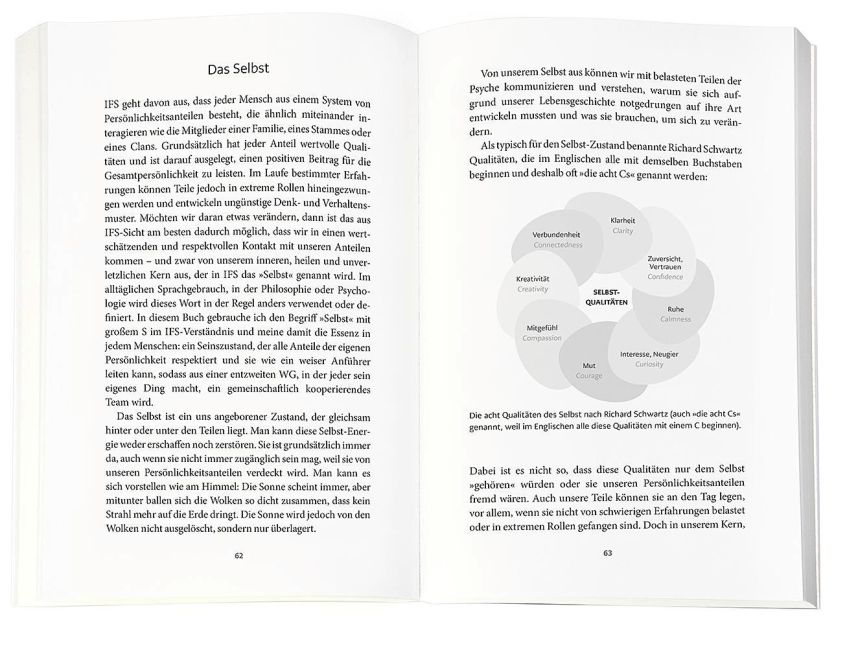 InsideView 3