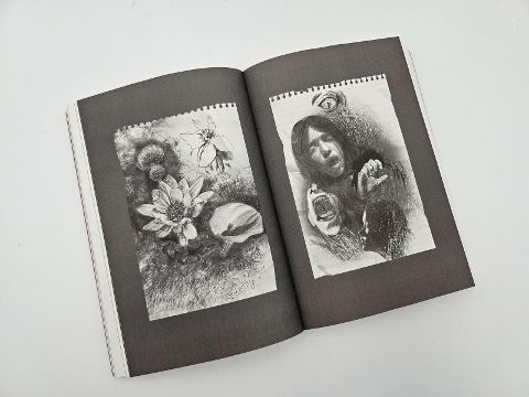 InsideView 10