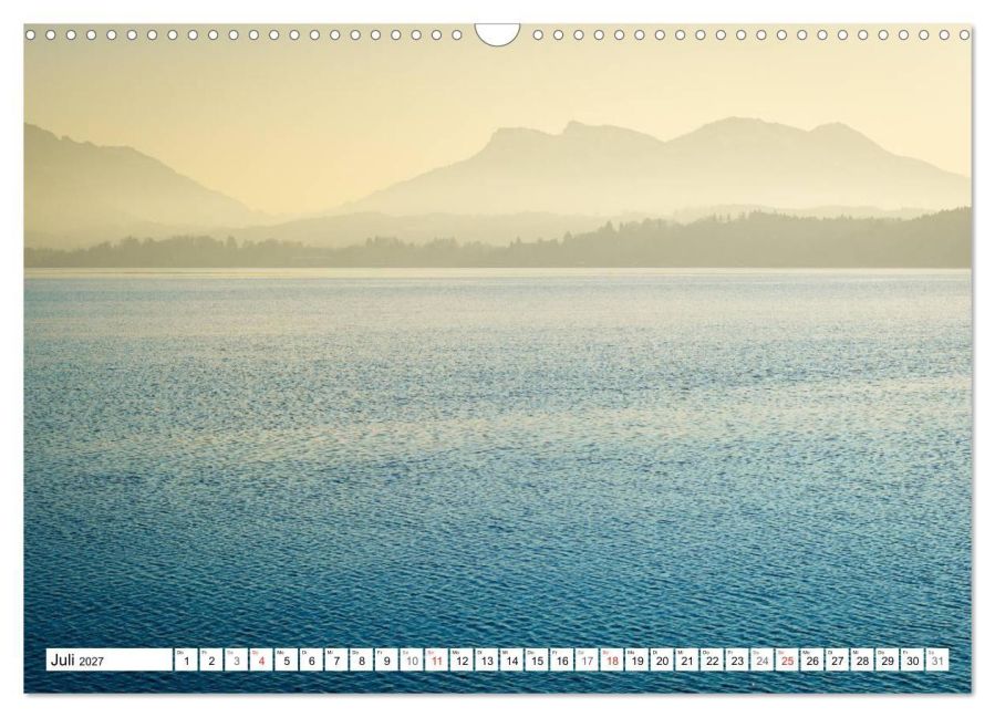 InsideView 12