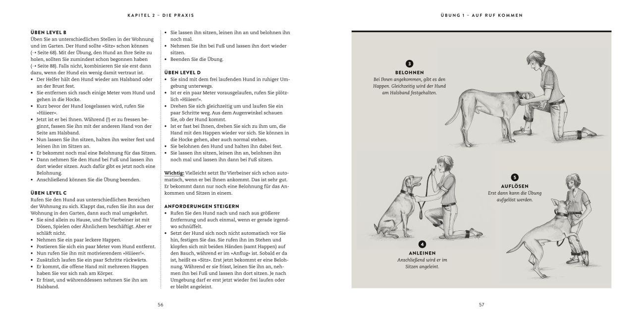 InsideView 10