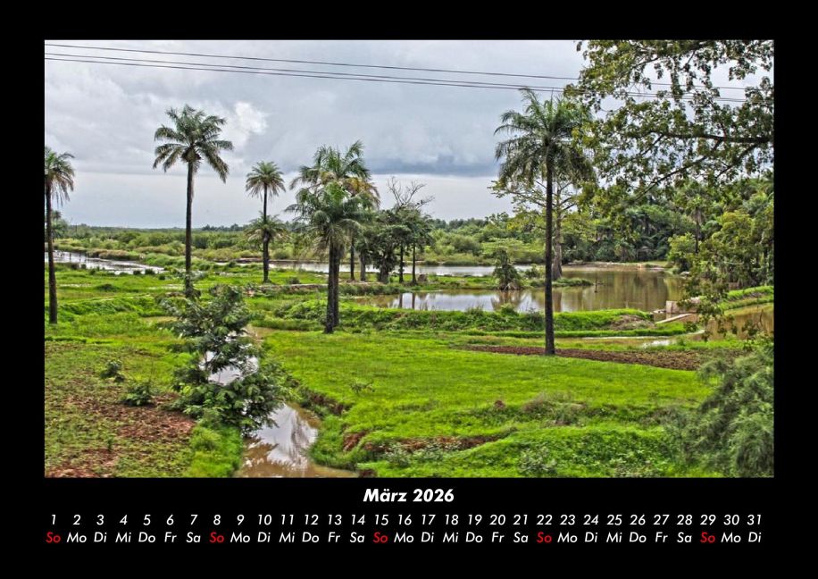 InsideView 7
