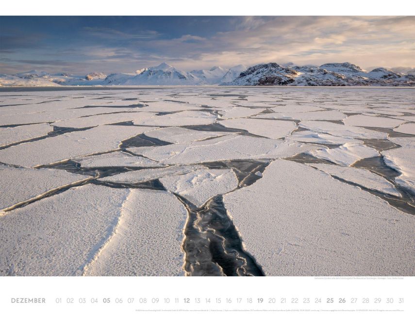 InsideView 12