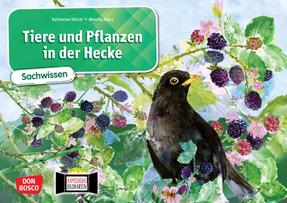 Tiere und Pflanzen in der Hecke. Kamishibai Bildkartenset - Katharina Stöckl-Bauer