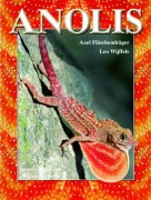 Cover-Bild zum Titel 'Anolis' von 'Axel Flaschendräger, Leo Wijffels'