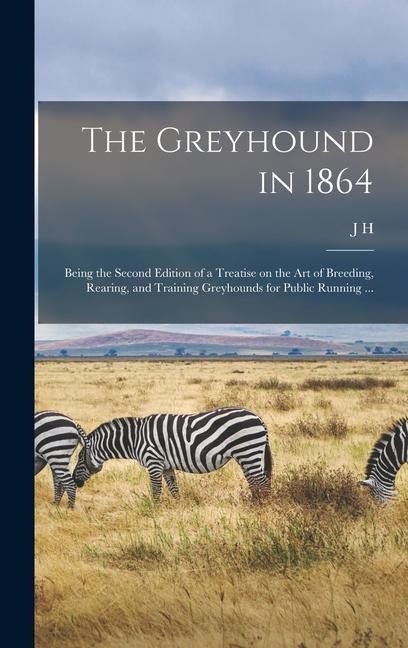The Greyhound in 1864 - J H Walsh