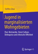 Cover-Bild zum Titel 'Jugend in marginalisierten Wohngebieten' von 'Steffen Zdun'