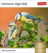 Heimische Vögel Postkartenkalender 2026 - Wochenkalender mit 53 Postkarten - 