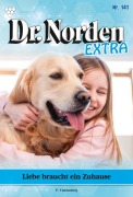Cover-Bild zum Titel 'Liebe braucht ein Zuhause' von 'Patricia Vandenberg'