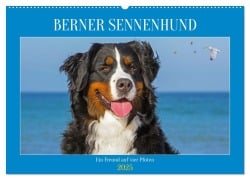 Berner Sennenhund - Ein Freund auf vier Pfoten (Wandkalender 2025 DIN A2 quer), CALVENDO Monatskalender - Sigrid Starick