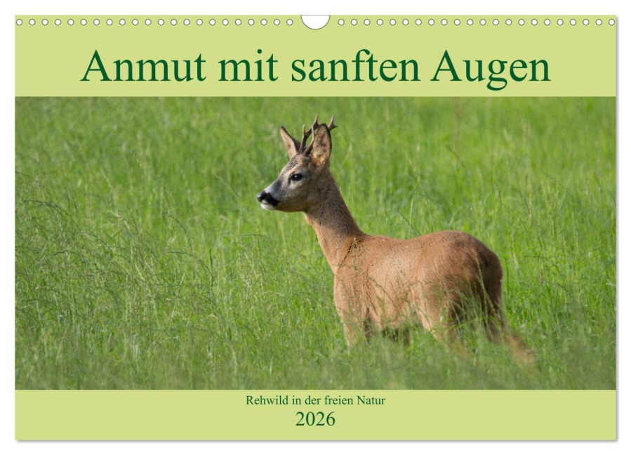 Anmut mit sanften Augen - Rehwild in der freien Natur (Wandkalender 2026 DIN A3 quer), CALVENDO Monatskalender - Sabine Grahneis
