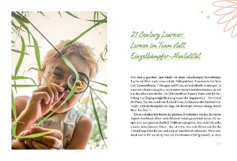 InsideView 5