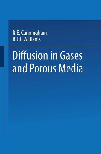 Diffusion in Gases and Porous Media - Roberto Cunningham