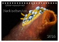 Unterwasserwelt Nacktschnecken (Tischkalender 2025 DIN A5 quer), CALVENDO Monatskalender - Dorothea Oldani