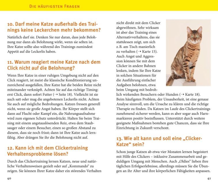 InsideView 5