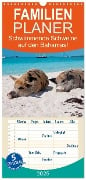 Familienplaner 2025 - Schwimmende Schweine auf den Bahamas! mit 5 Spalten (Wandkalender, 21 x 45 cm) CALVENDO - Elisabeth Stanzer