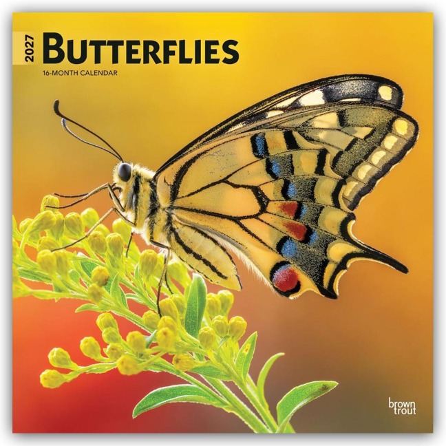 Butterflies - Schmetterlinge 2027 - 16-Monatskalender - Browntrout Publishers