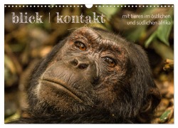 Cover-Bild zum Titel 'blick kontakt mit tieren im östlichen und südlichen afrika (Wandkalender 2026 DIN A3 quer), CALVENDO Monatskalender' von 'Rsiemer Rsiemer'
