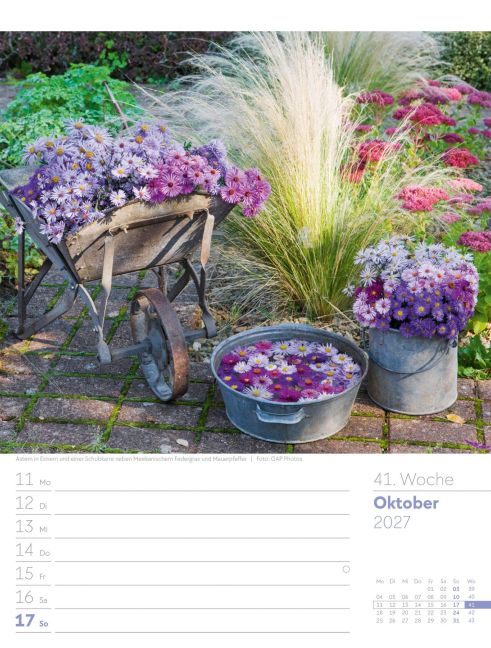 InsideView 45