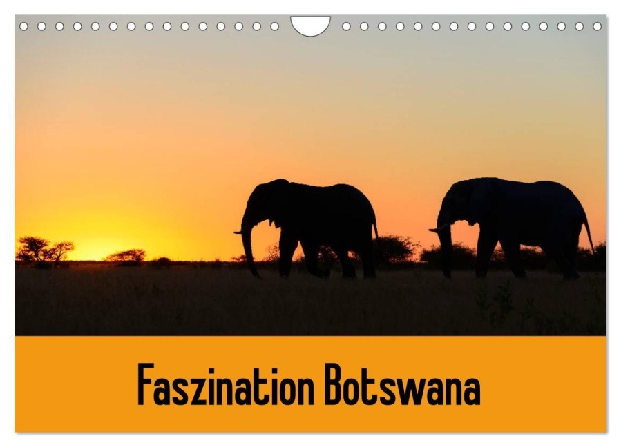 Faszination Botswana (Wandkalender 2027 DIN A4 quer), CALVENDO Monatskalender - Frauke Scholz