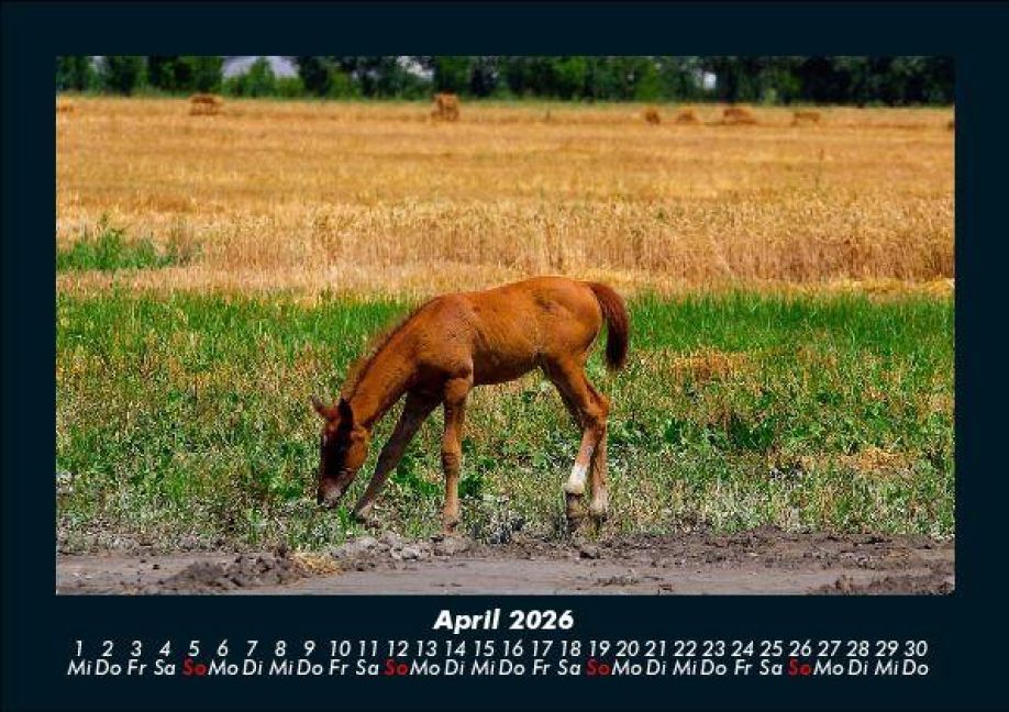 InsideView 8