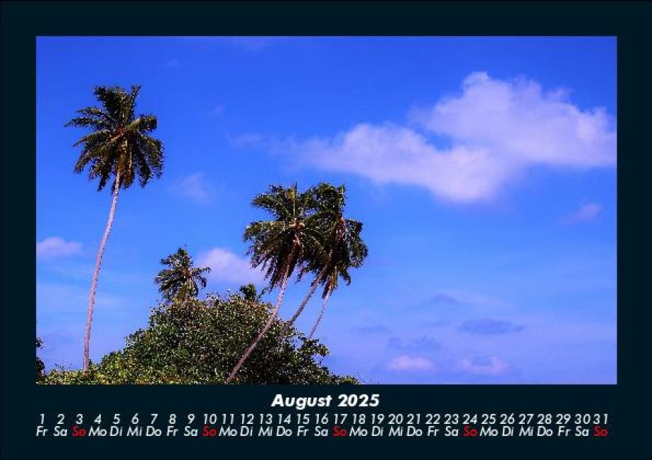 InsideView 12