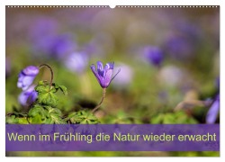 Cover-Bild zum Titel 'Wenn im Frühling die Natur wieder erwacht (Wandkalender 2026 DIN A2 quer), CALVENDO Monatskalender' von 'Monika Scheurer'