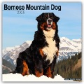 Bernese Mountain Dog - Berner Sennenhund 2025 - 16-Monatskalender - Avonside Publishing Ltd.
