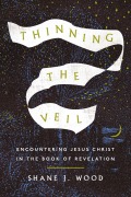 Thinning the Veil - Shane J. Wood