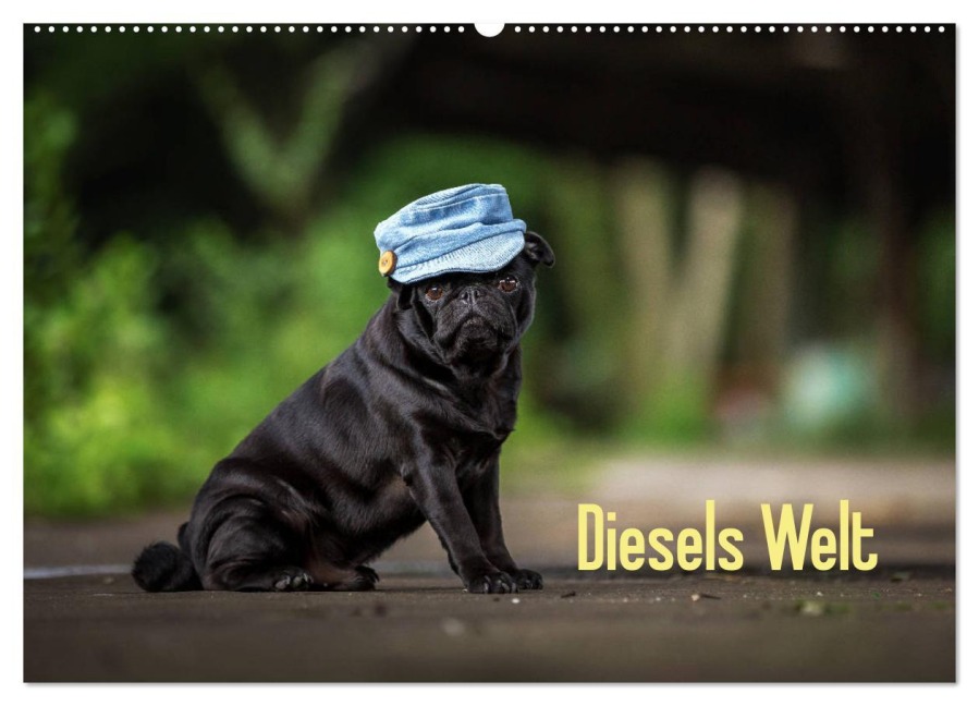 Diesels Welt (Wandkalender 2026 DIN A2 quer), CALVENDO Monatskalender - Sabrina Wobith Photography - FotosVonMaja