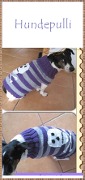 Cover-Bild zum Titel 'Strickanleitung Hundepulli' von 'Kerstin Münchehofe'