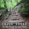 On the third-stream path - Lajos Dudas