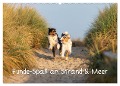 Hunde-Spaß an Strand & Meer (Wandkalender 2025 DIN A2 quer), CALVENDO Monatskalender - Annett Mirsberger