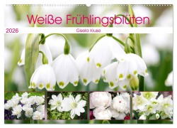 Weiße Frühlingsblüten (Wandkalender 2026 DIN A2 quer), CALVENDO Monatskalender - Gisela Kruse
