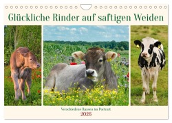 Cover-Bild zum Titel 'Glückliche Rinder auf saftigen Weiden (Wandkalender 2026 DIN A4 quer), CALVENDO Monatskalender' von 'Claudia Kleemann'