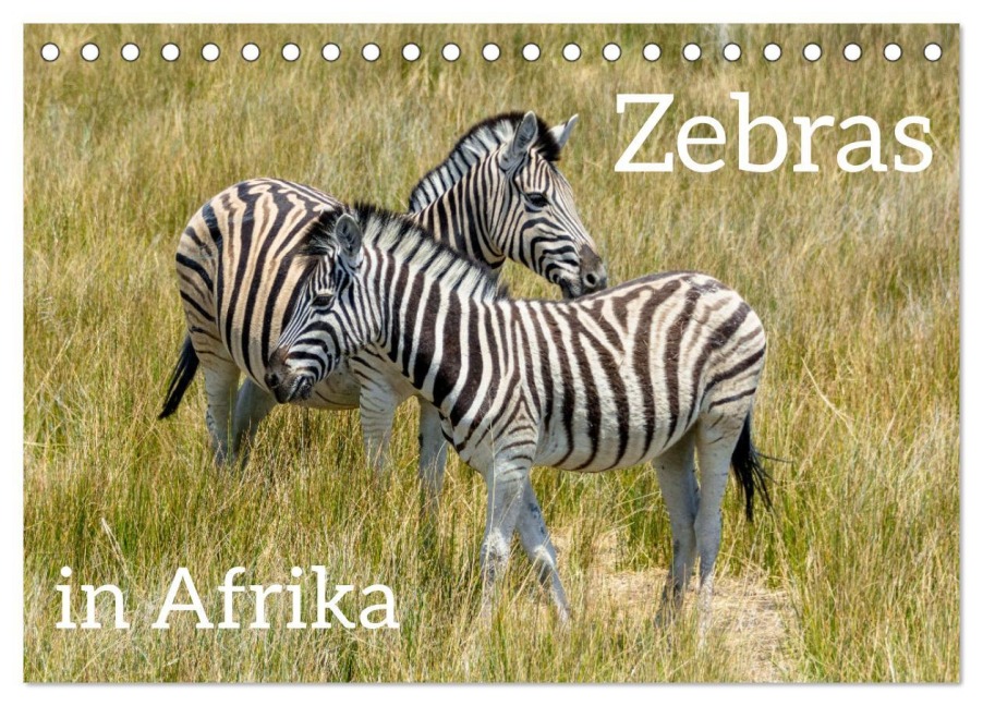 Zebras in Afrika (Tischkalender 2026 DIN A5 quer), CALVENDO Monatskalender - Christiane Kulisch