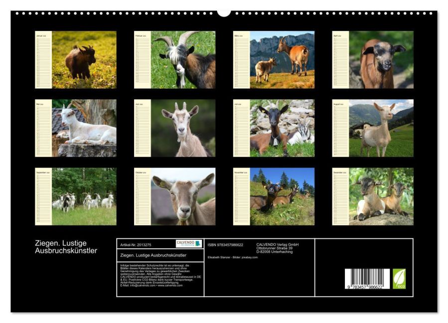 InsideView 4