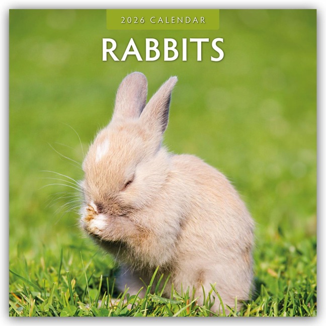 Rabbits - Hasen - Kaninchen 2026 - 16-Monatskalender - Robin Red
