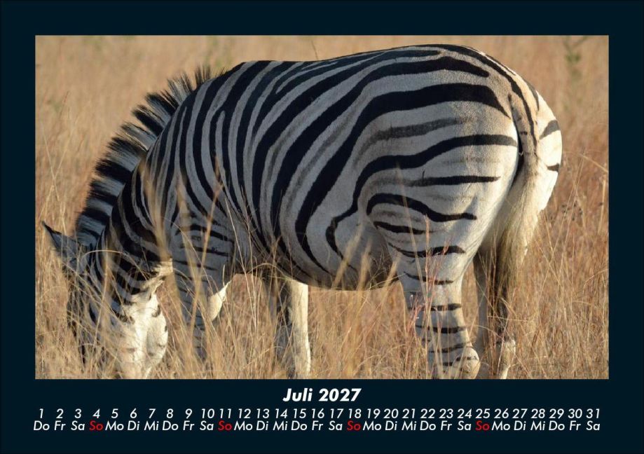 InsideView 11