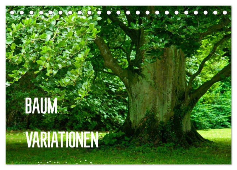 Baum-Variationen (Tischkalender 2026 DIN A5 quer), CALVENDO Monatskalender - Joachim Barig