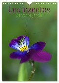Les insectes de votre jardin (Calendrier mural 2025 DIN A4 horizontal), CALVENDO calendrier mensuel - Jérôme Aupeix
